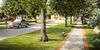 montevil_street.jpg